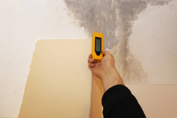 Best Indoor Air Quality Assessment  in Lake Holiday, IN