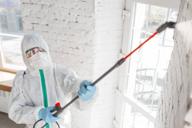 Best Real Estate Mold Inspection  in Lake Holiday, IN