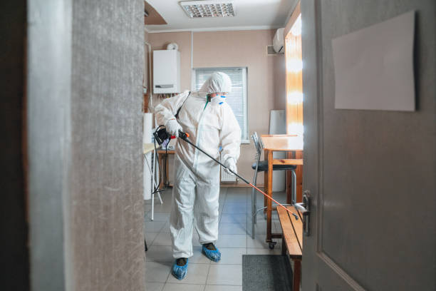 Best Black Mold Removal  in Lake Holiday, IN