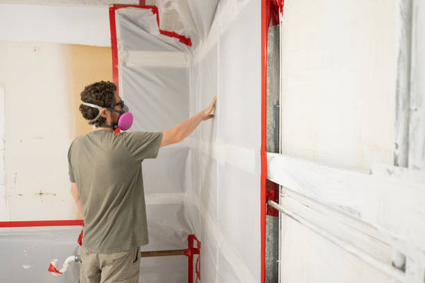Best Water Damage & Mold Remediation  in Lake Holiday, IN