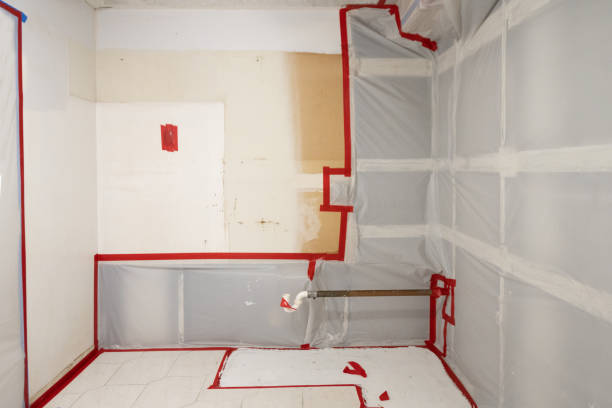 Best Mold Removal for HVAC Installations  in Lake Holiday, IN