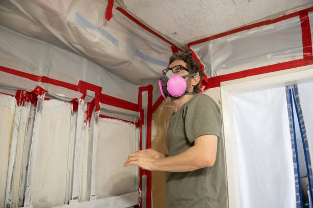Best Industrial Mold Remediation  in Lake Holiday, IN