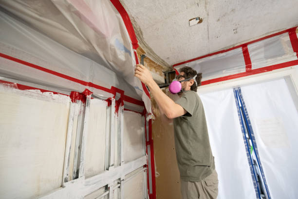 Best Comprehensive Air Testing for Mold Contaminants  in Lake Holiday, IN