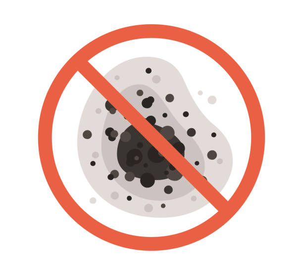 Best Environmental Consulting for Mold Prevention  in Lake Holiday, IN