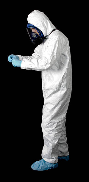Reliable Lake Holiday, IN Mold Removal Solutions